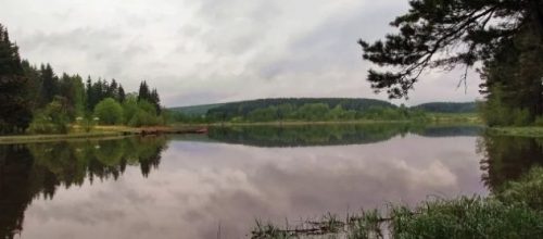 ural.aif.ru