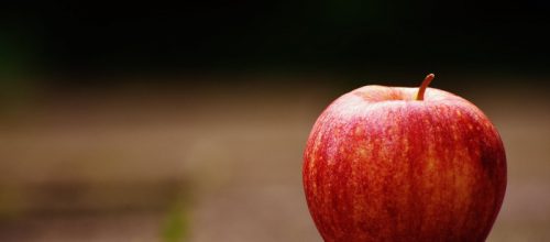 profilaktica.ru