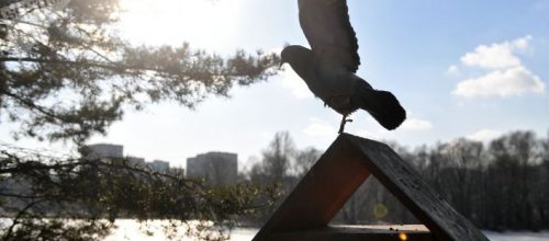 РИА "Новости"
